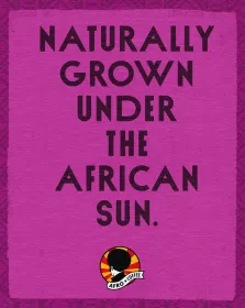 Strong & Earthy Kaffeekapseln, Bio, Fairtrade 10 Stück